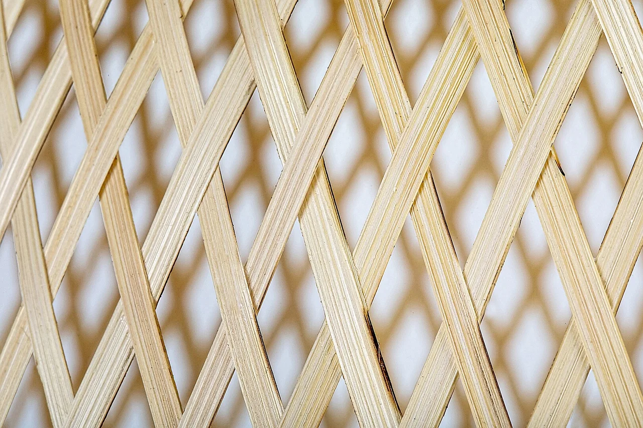Rattan