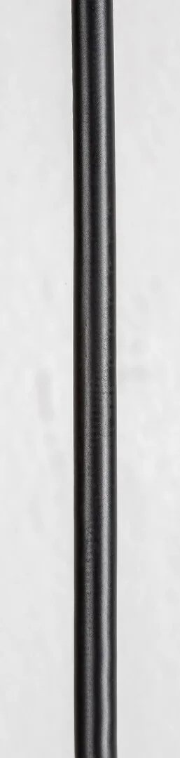 Toras