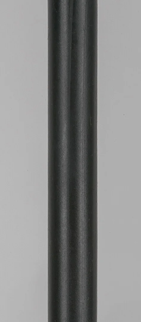 Toras