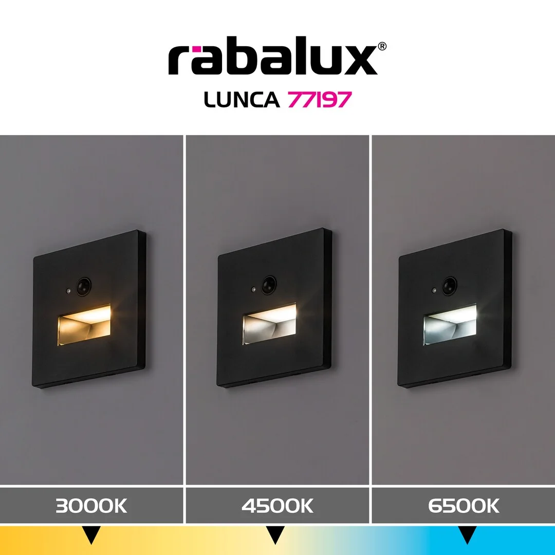 Lunca