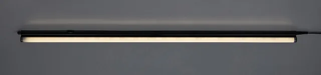 Bareg