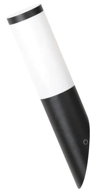 Black torch