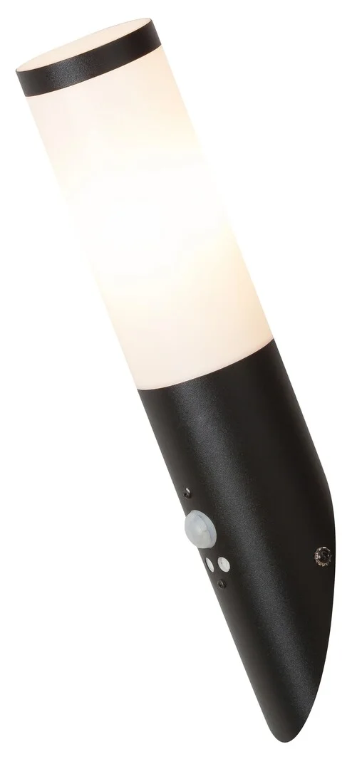 Black torch