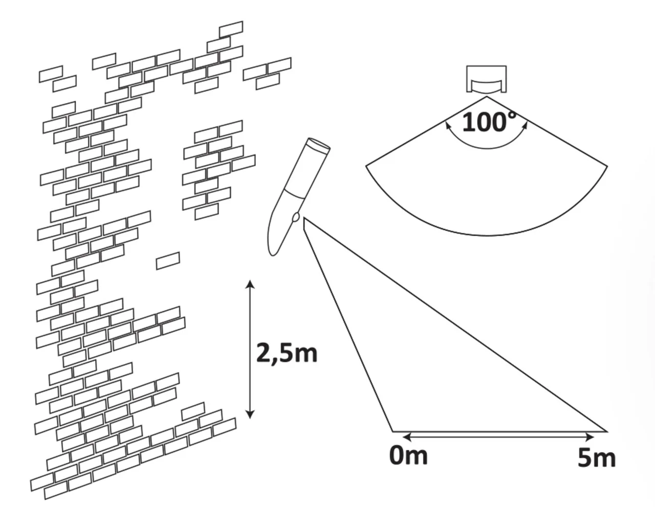 Black torch