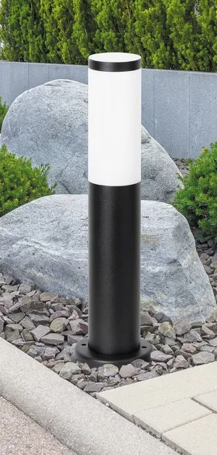 Black torch